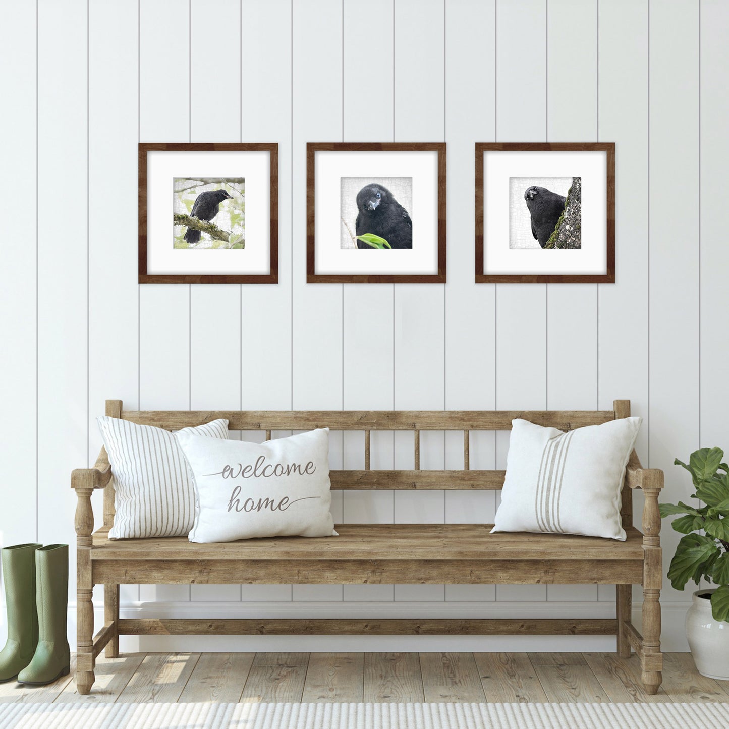 FIRST LOOK - Fine Art Print, Crow Portrait Series