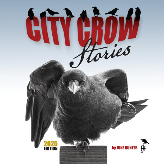 City Crow Stories- 2025 Edition by June Hunter