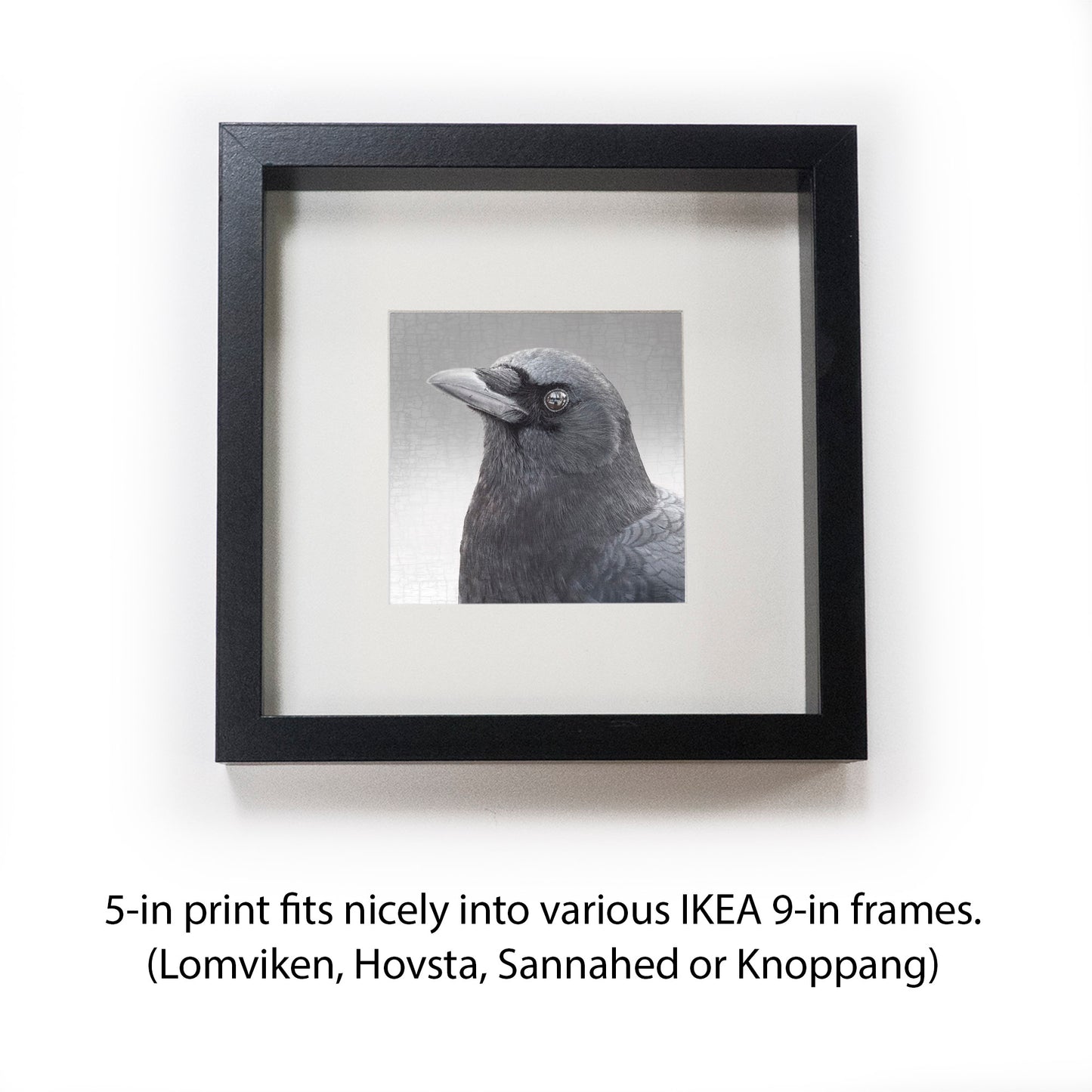 THE MIRROR - Fine Art Print, Crow Portrait Series
