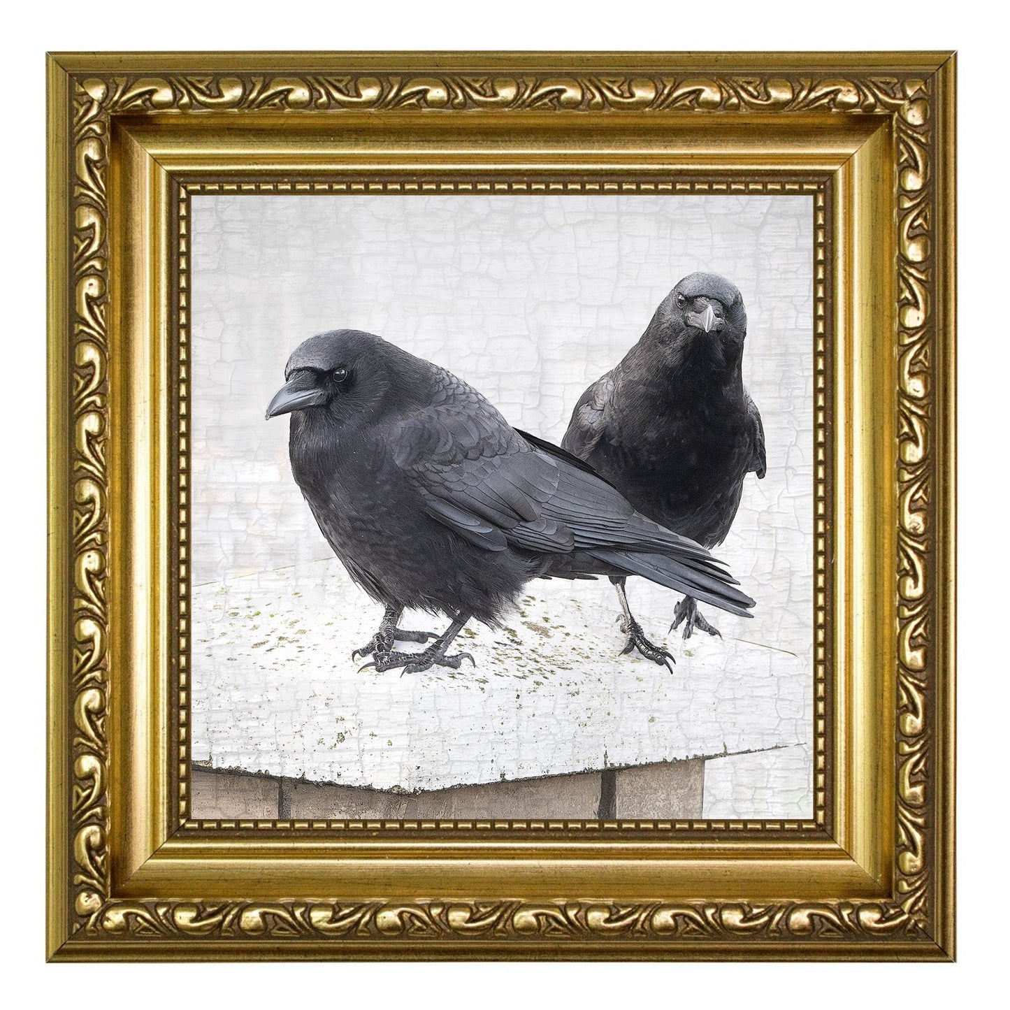 STRONGER TOGETHER - Fine Art Print, Crow Portrait Series
