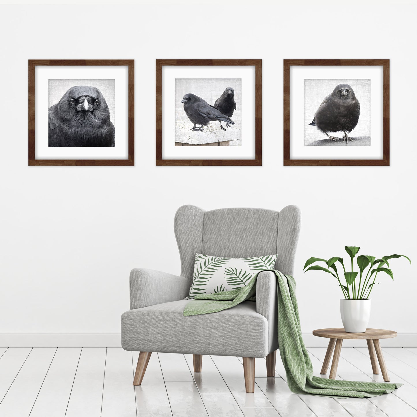 STALWART- Fine Art Print, Crow Portrait Series