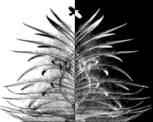 HOPE IS THE THING — Black & White Print