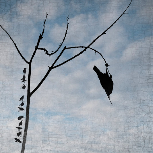 FUN AND GAMES - Fine Art Print, Blue Crow Series