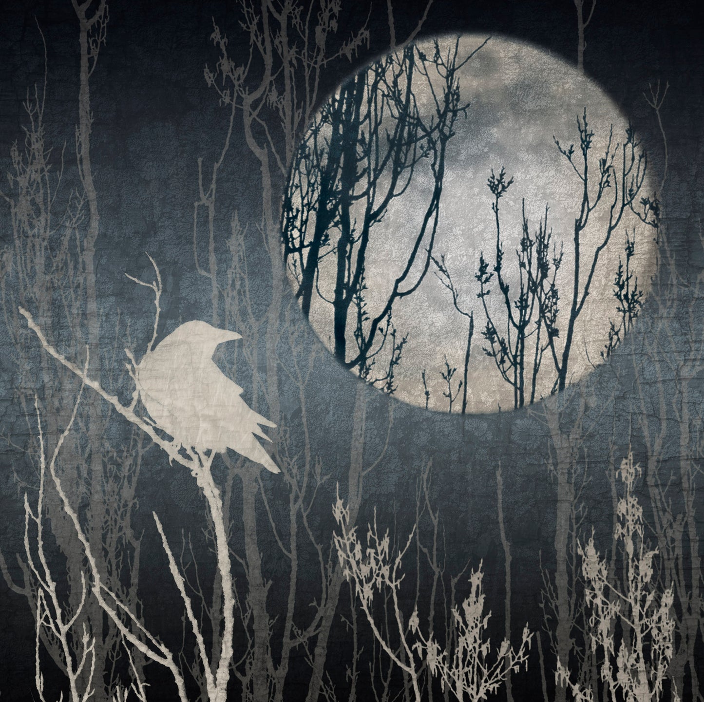 CROW, MOON, DREAMS - Long Silk Scarf