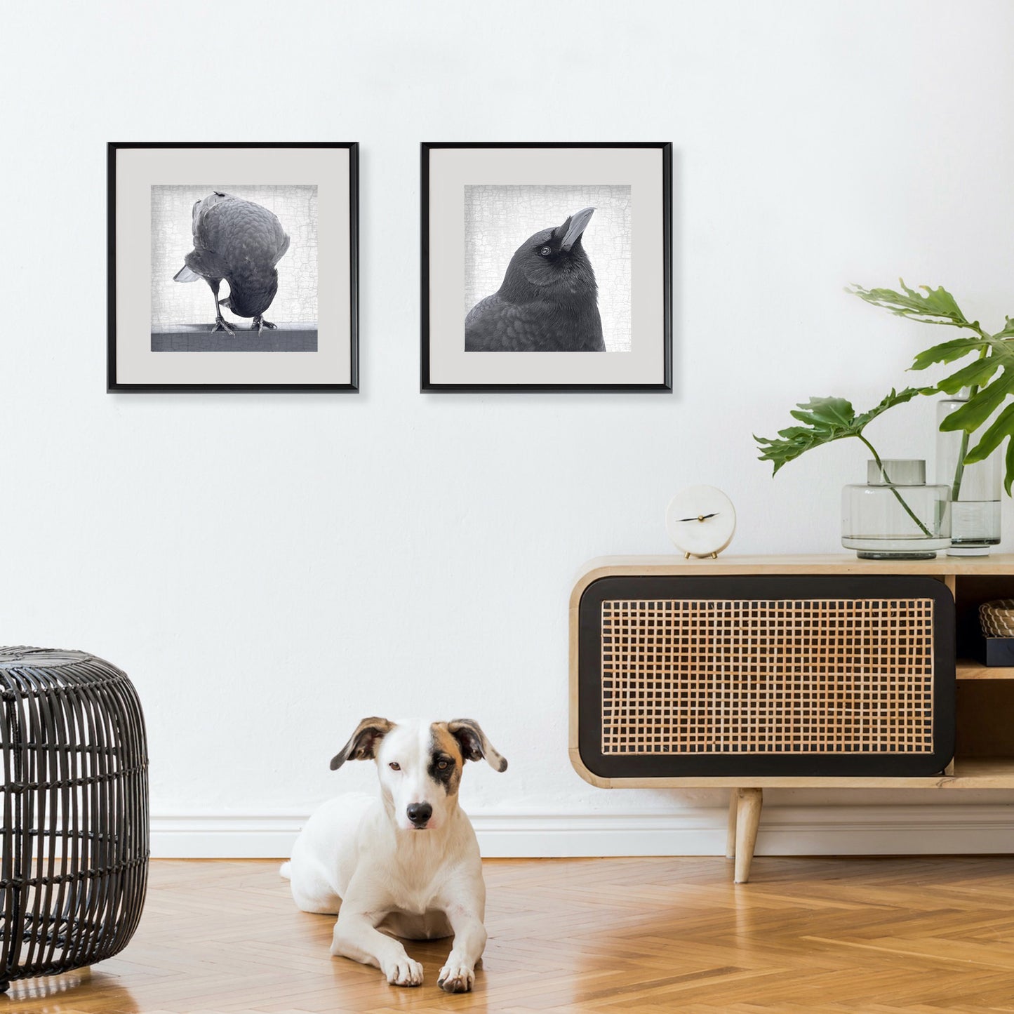 NEW PERSPECTIVES - Fine Art Print, Crow Portrait Series