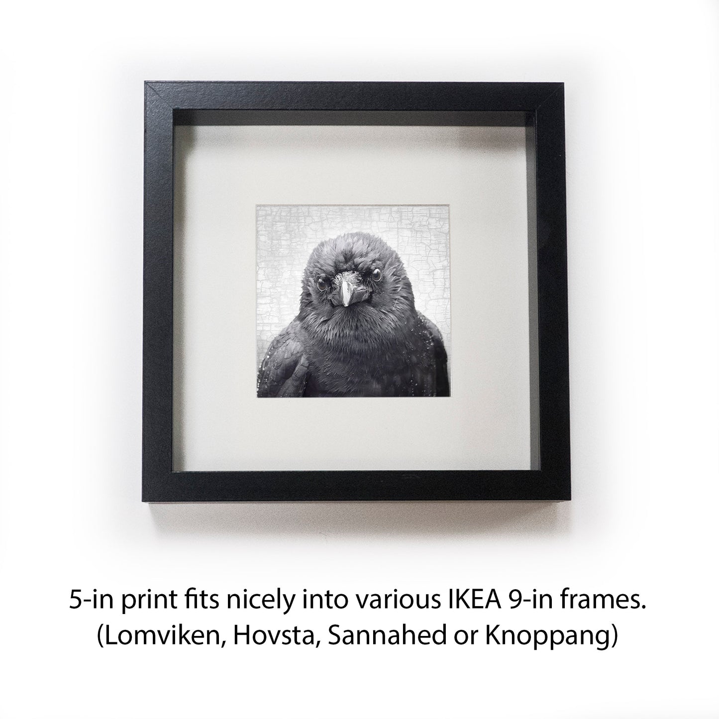 WISTFUL - Fine Art Print, Crow Portrait Series