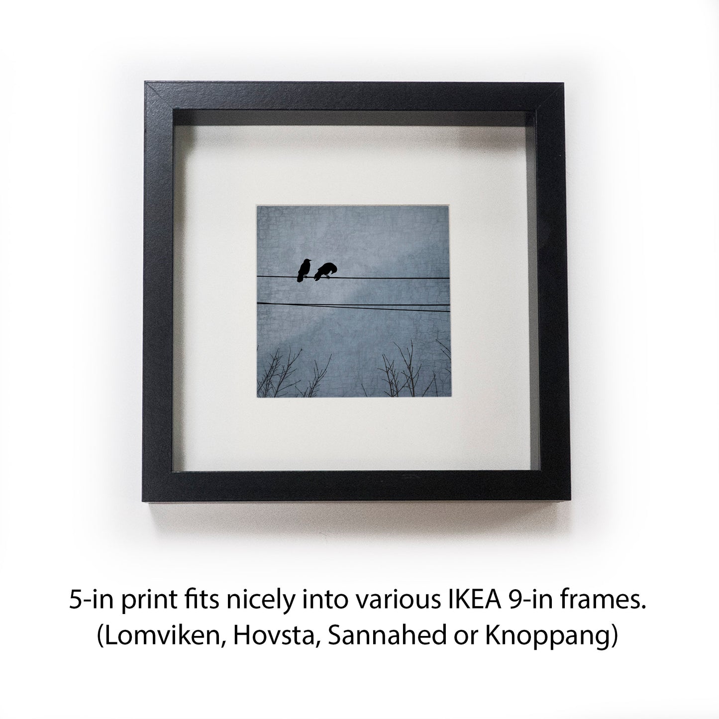 DREAMING IN BLUE - Fine Art Print, Blue Crow Series