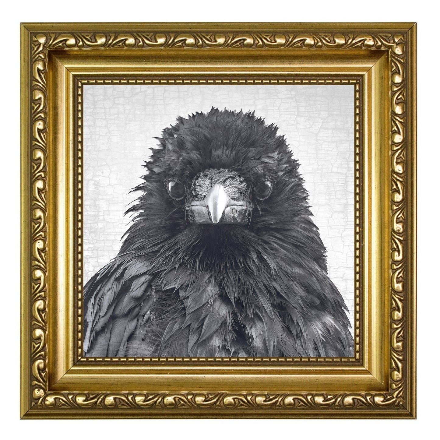 CROW CRITIC - Fine Art Print, Crow Portrait Series