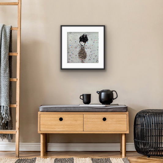RAINDROP EARL - Fine Art Print, Crow Portrait Series