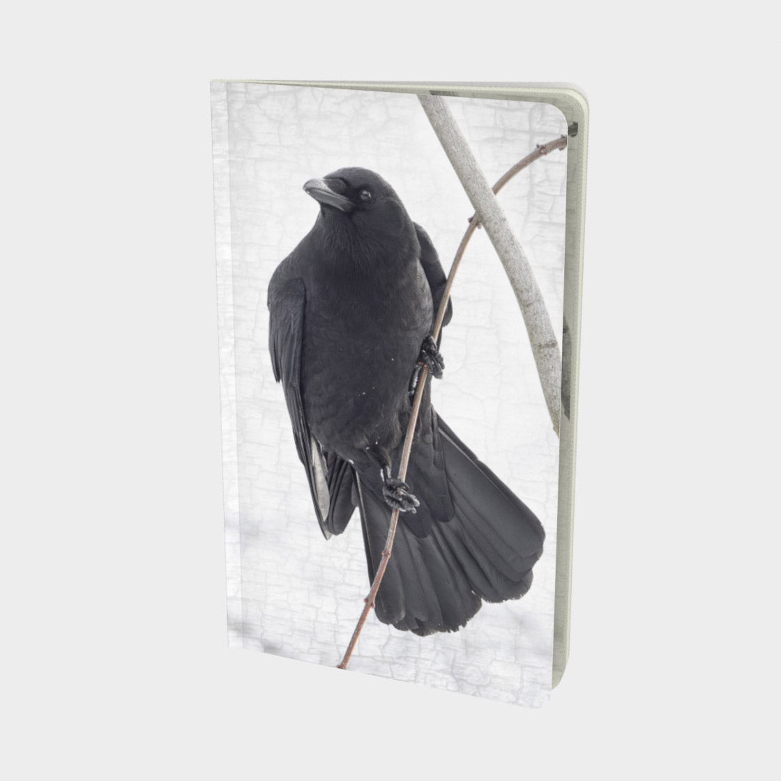 HANG IN THERE - Small Notebook by June Hunter