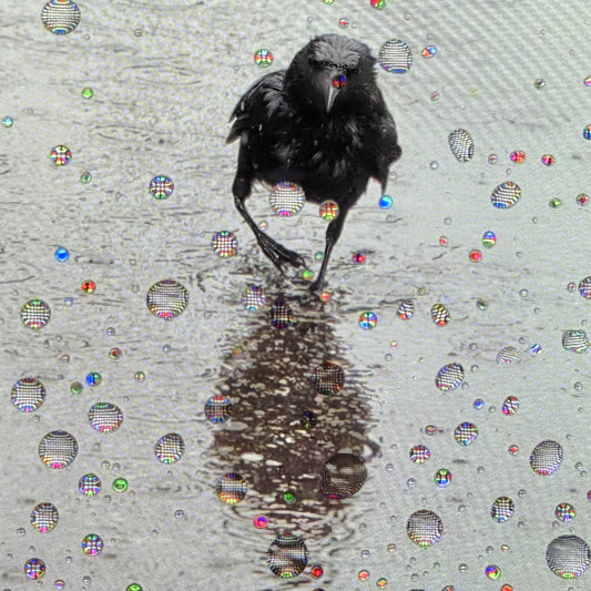RAINDROP EARL - Fine Art Print, Crow Portrait Series