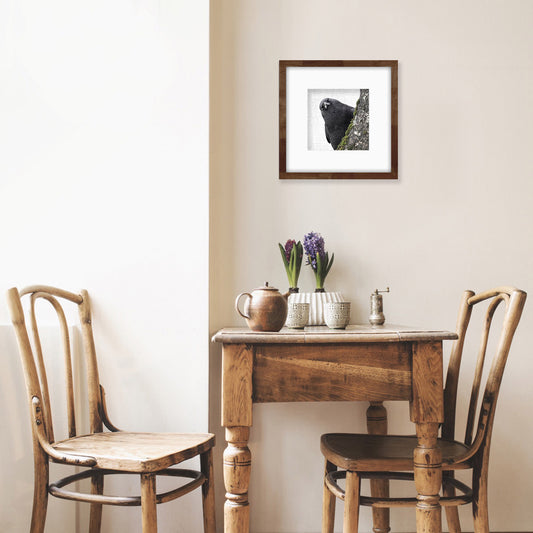 YOU ARE BEING WATCHED - Fine Art Print, Crow Portrait Series