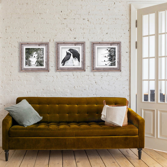 STRATA RAVENS - Fine Art Print, Raven Portrait Series