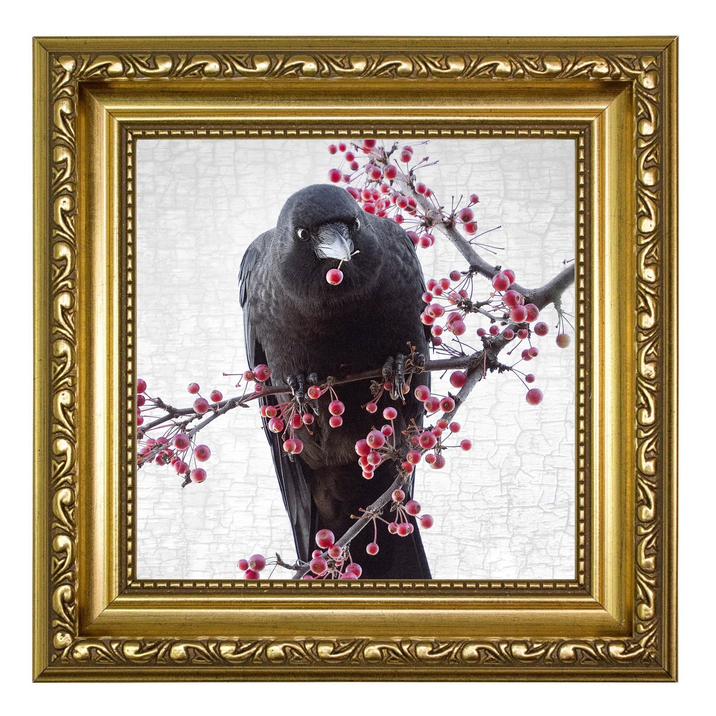 BERRY BANQUET - Fine Art Print, Crow Portrait Series