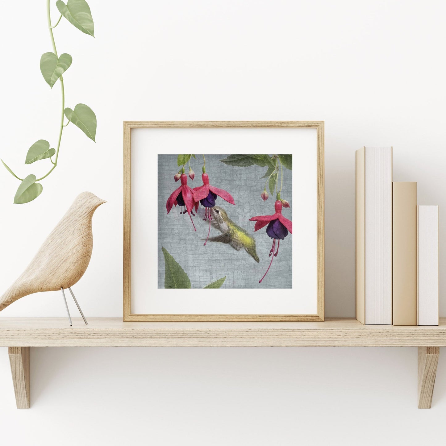 FUCHSIA HUMMINGBIRD - Fine Art Print, Garden Birds Series