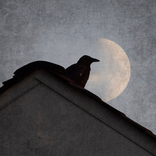 HALF MOON CROW - Fine Art Print, Blue Crow Series