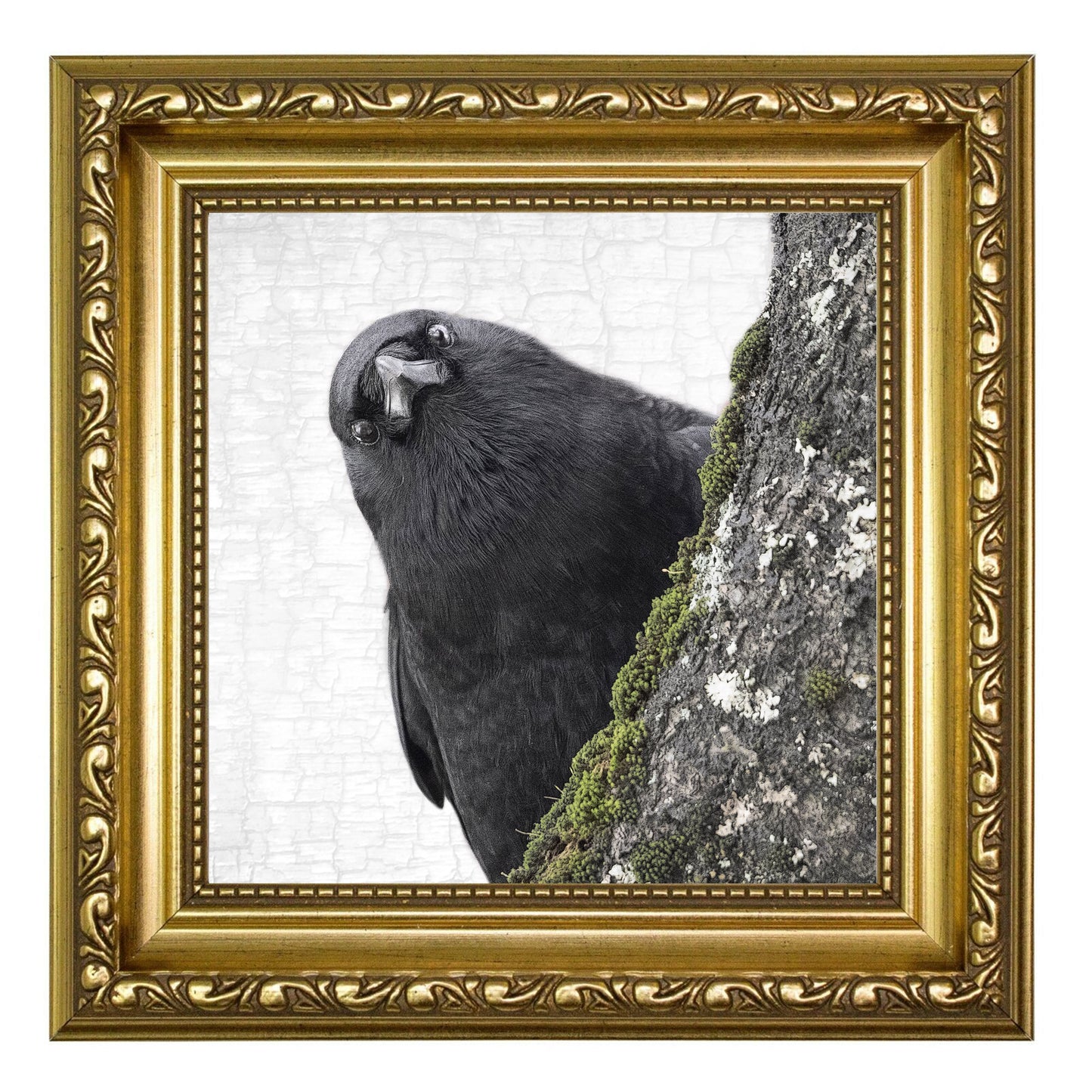 YOU ARE BEING WATCHED - Fine Art Print, Crow Portrait Series