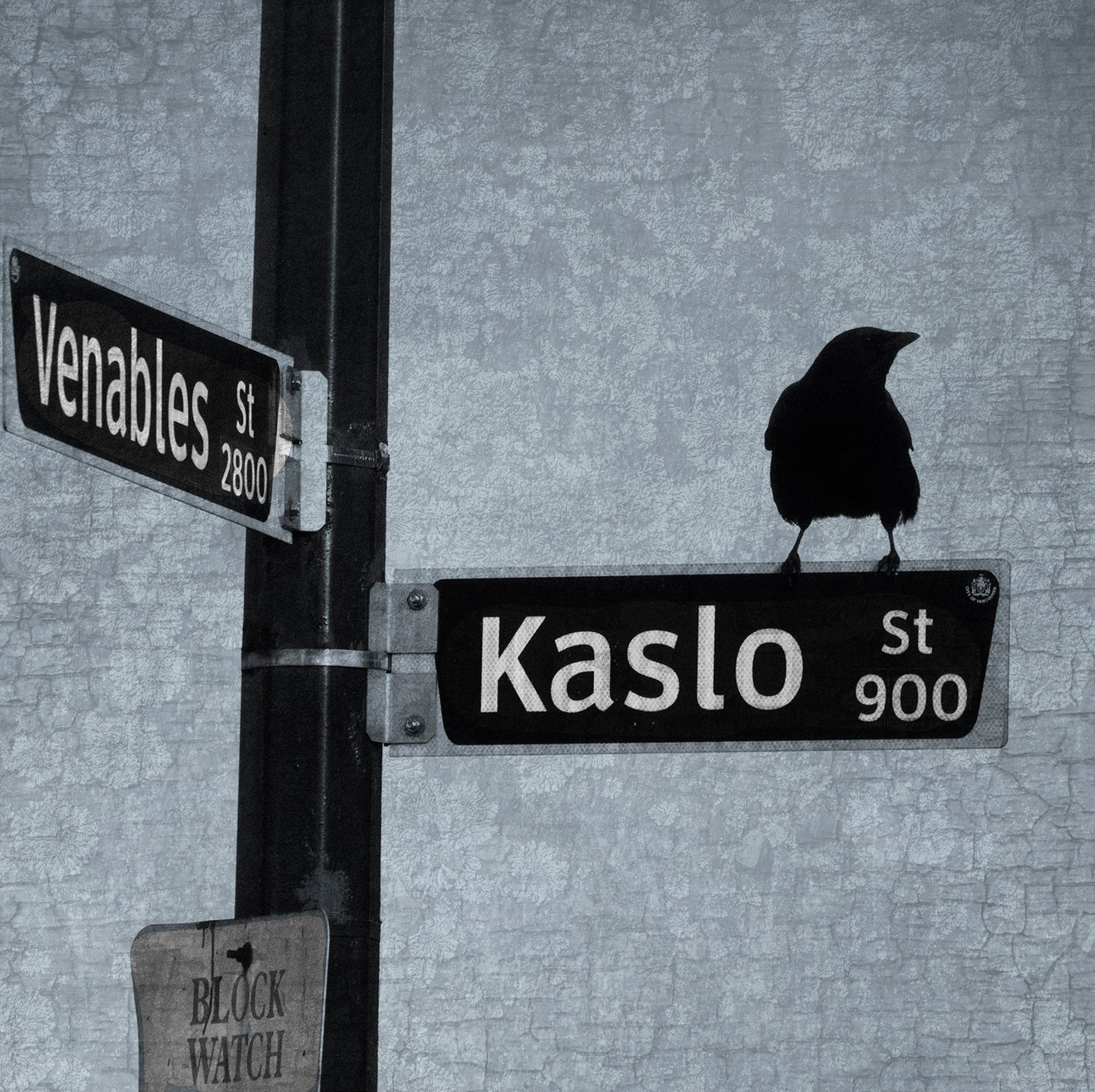 WAY-FINDER CROW - Fine Art Print, Blue Crow Series