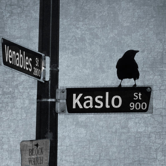 WAY-FINDER CROW - Fine Art Print, Blue Crow Series