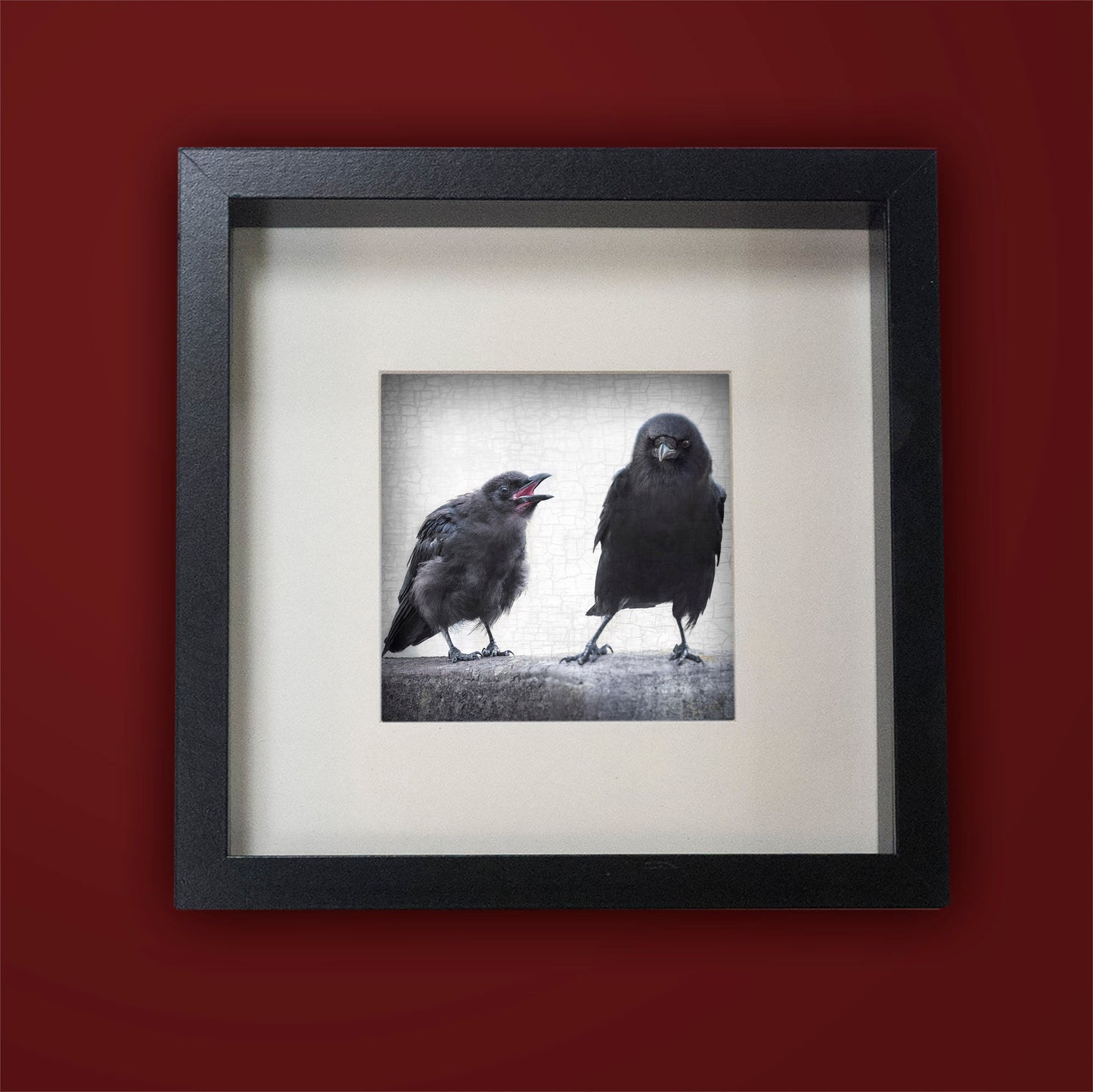 THE ART OF PARENTING - Fine Art Print, Crow Portrait Series