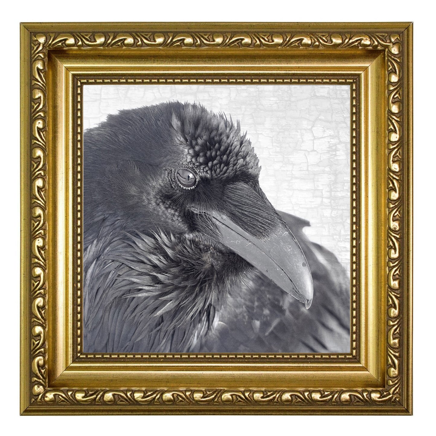 RAVEN THOUGHTS - Fine Art Print, Raven Portrait Series