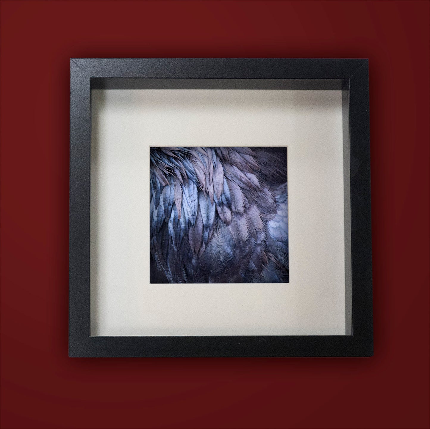RAVEN FEATHERS - Fine Art Print, Raven Portrait Series