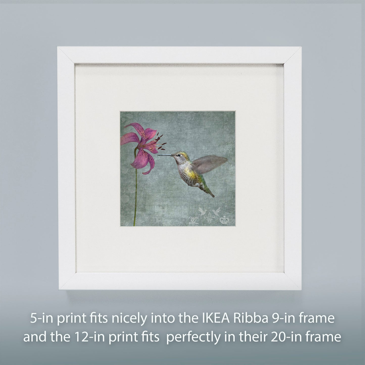 LILY HUMMINGBIRD - Fine Art Print, Garden Birds Series