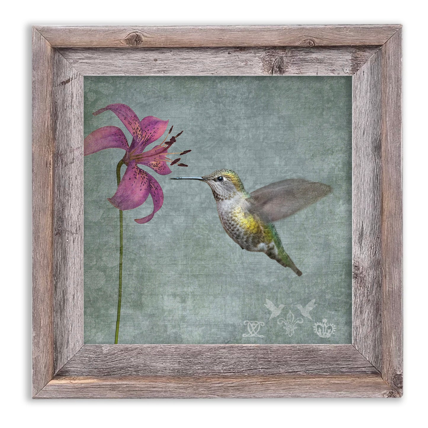 LILY HUMMINGBIRD - Fine Art Print, Garden Birds Series