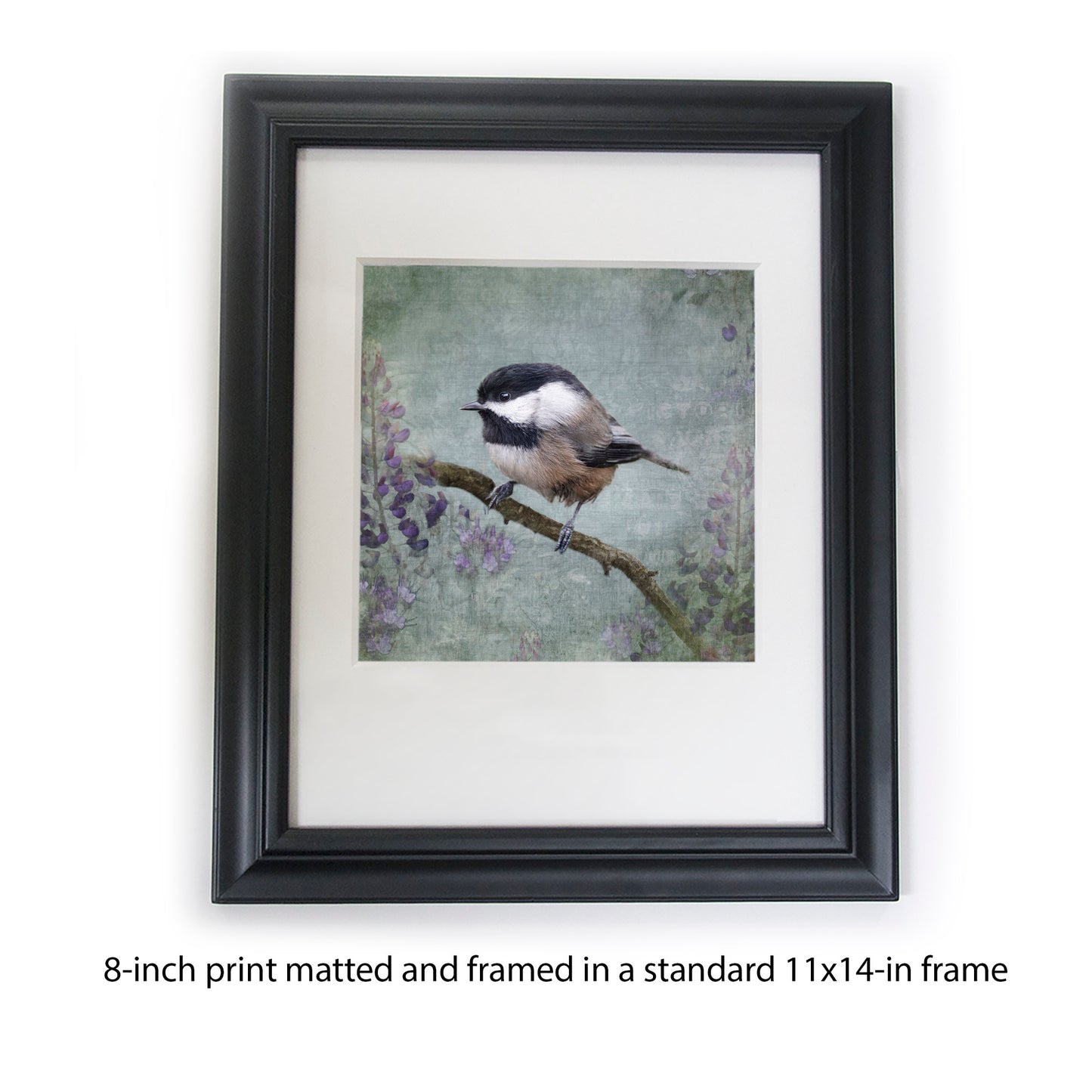 BLACK CAPPED CHICKADEE - Fine Art Print, Garden Birds Series