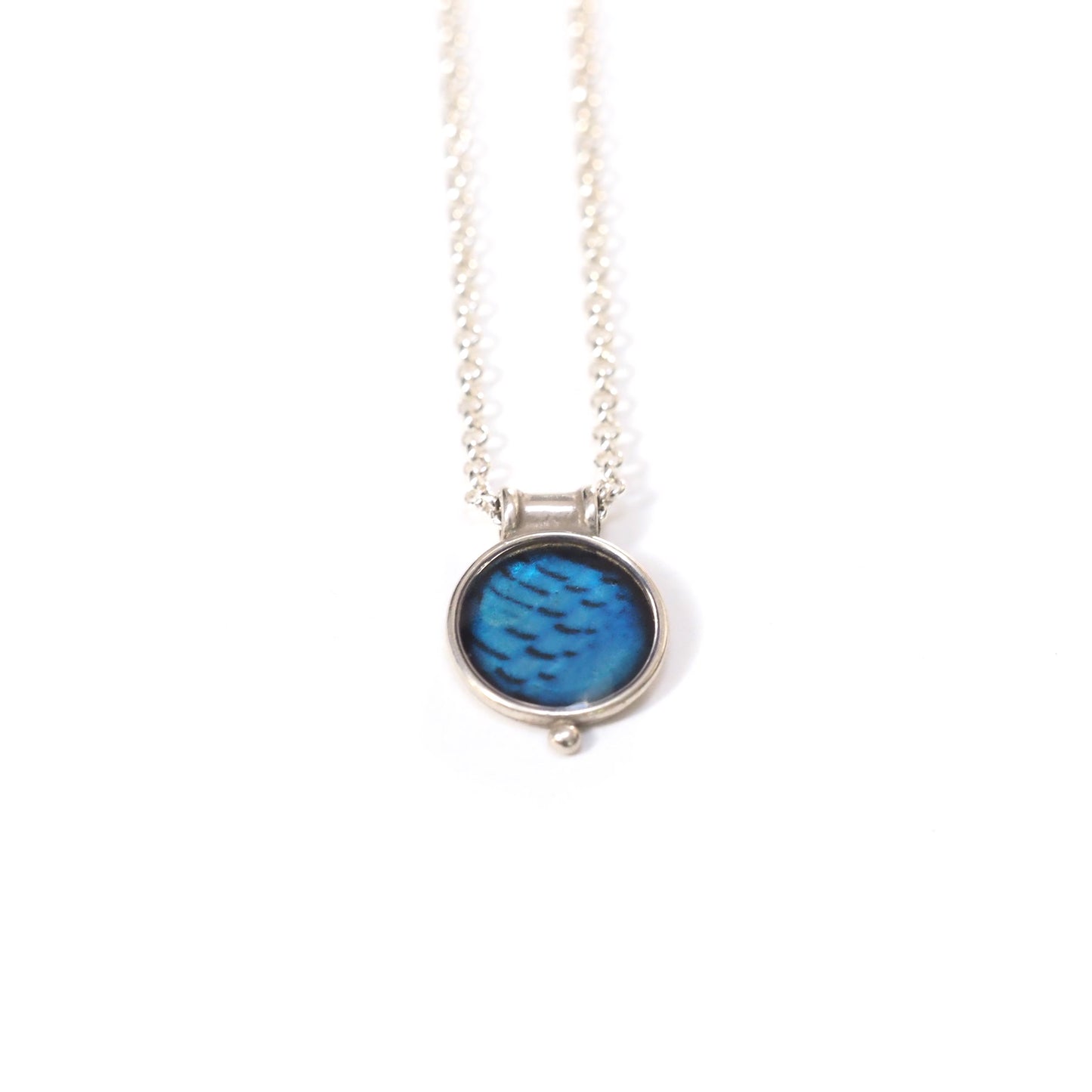 STELLER'S JAY FEATHERS - Miniature Pendant, Silver and Resin