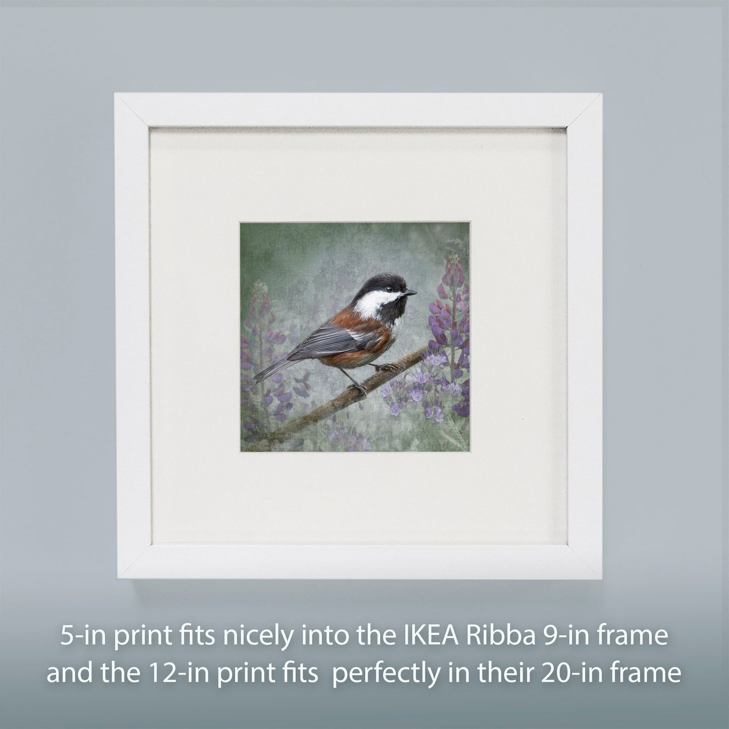 CHESTNUT BACKED CHICKADEE - Fine Art Print, Garden Birds Series