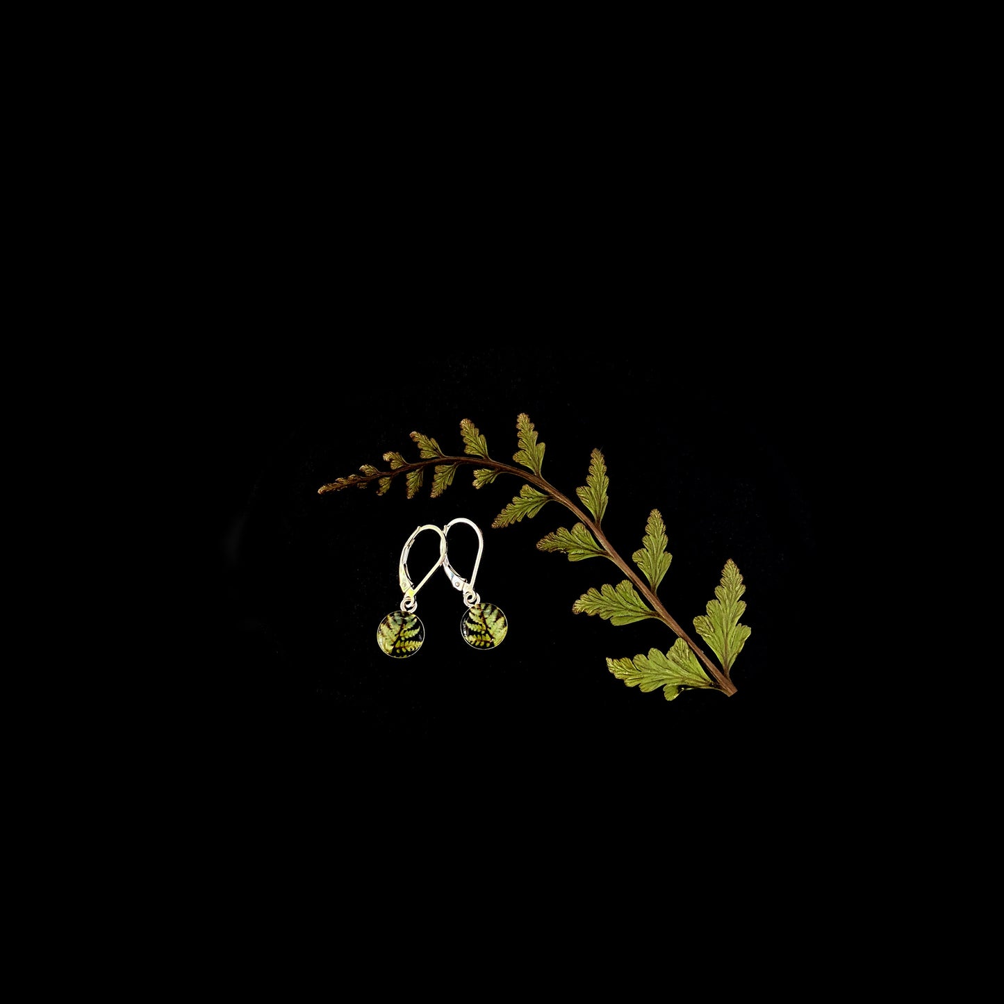 FERN- Tiny Round Earrings, Silver and Resin