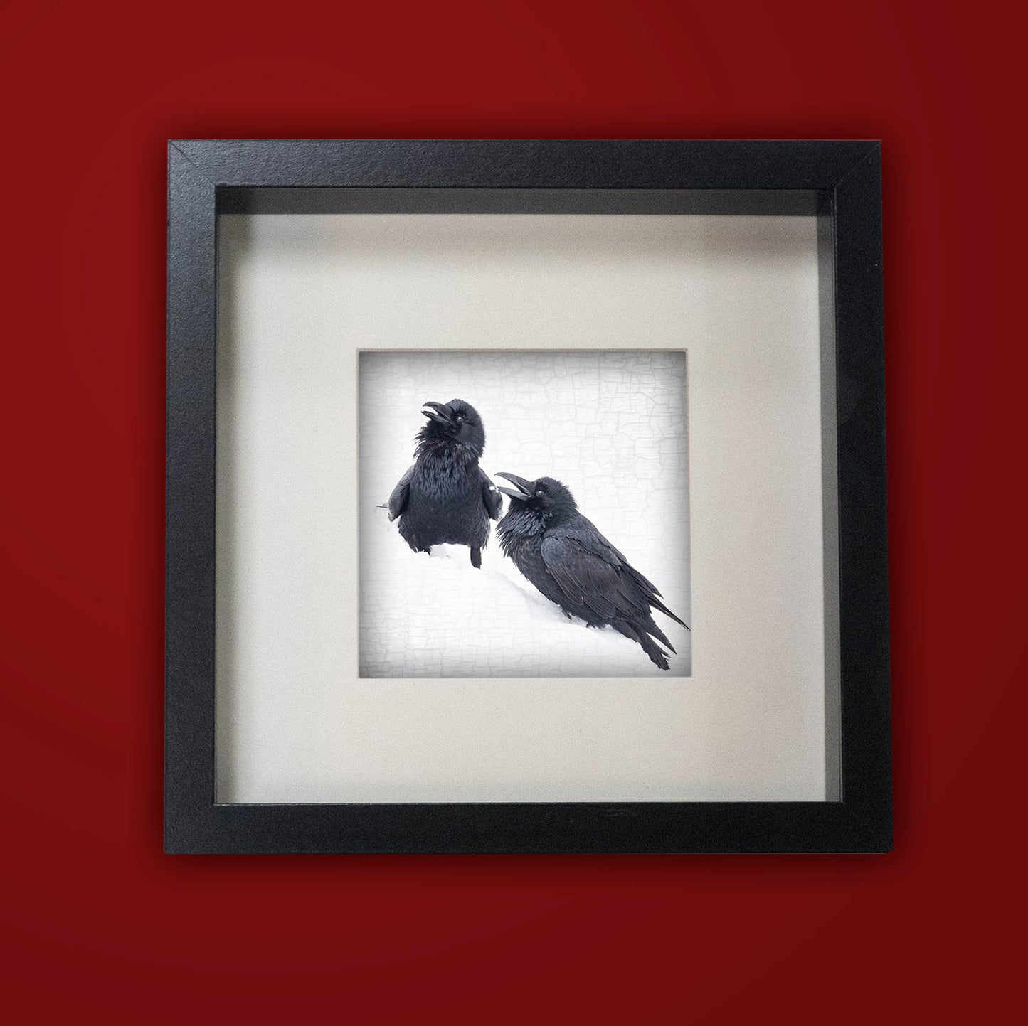 RAVEN CHOIR - Fine Art Print, Raven Portrait Series