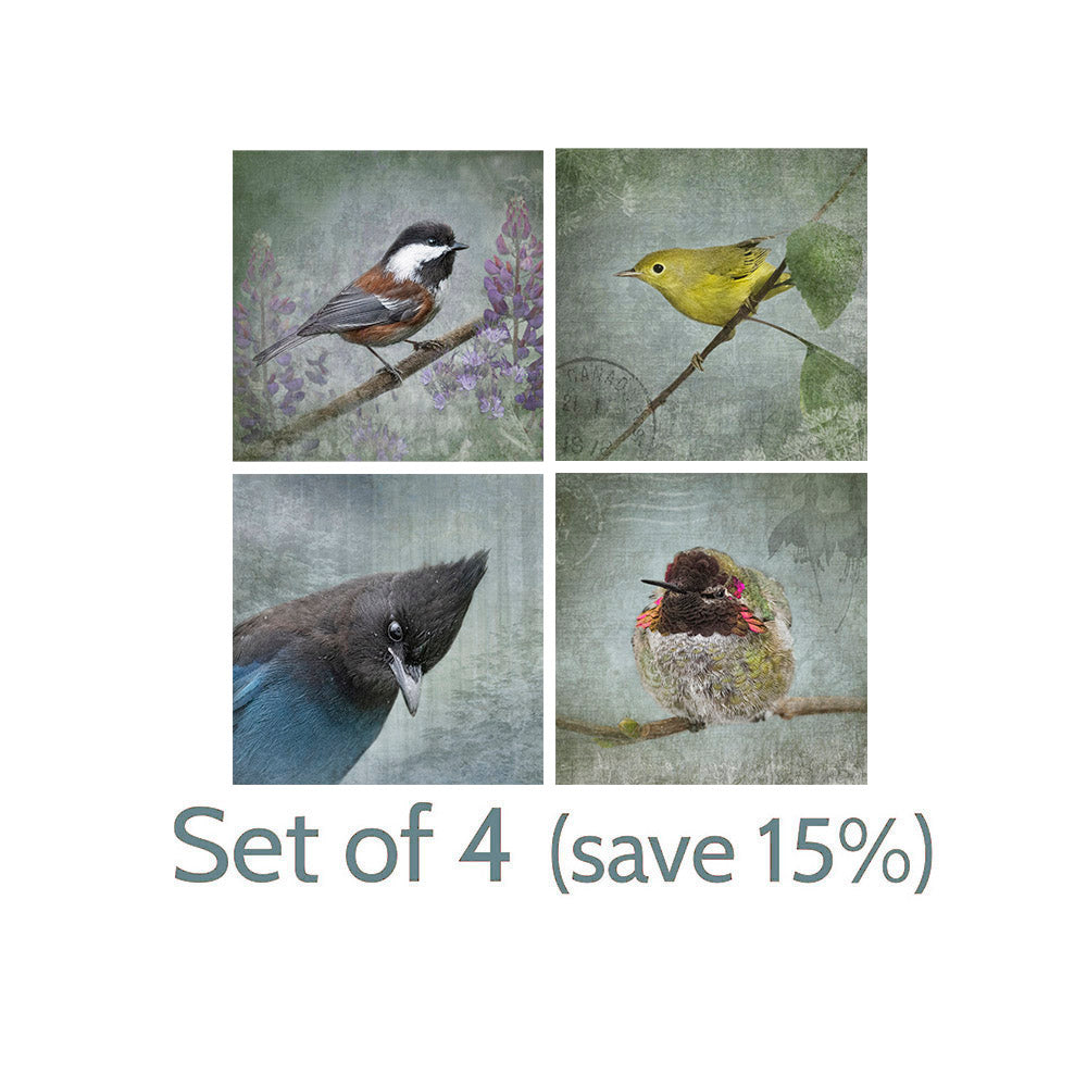 SMALL BUT DETERMINED - Fine Art Print, Garden Birds Series