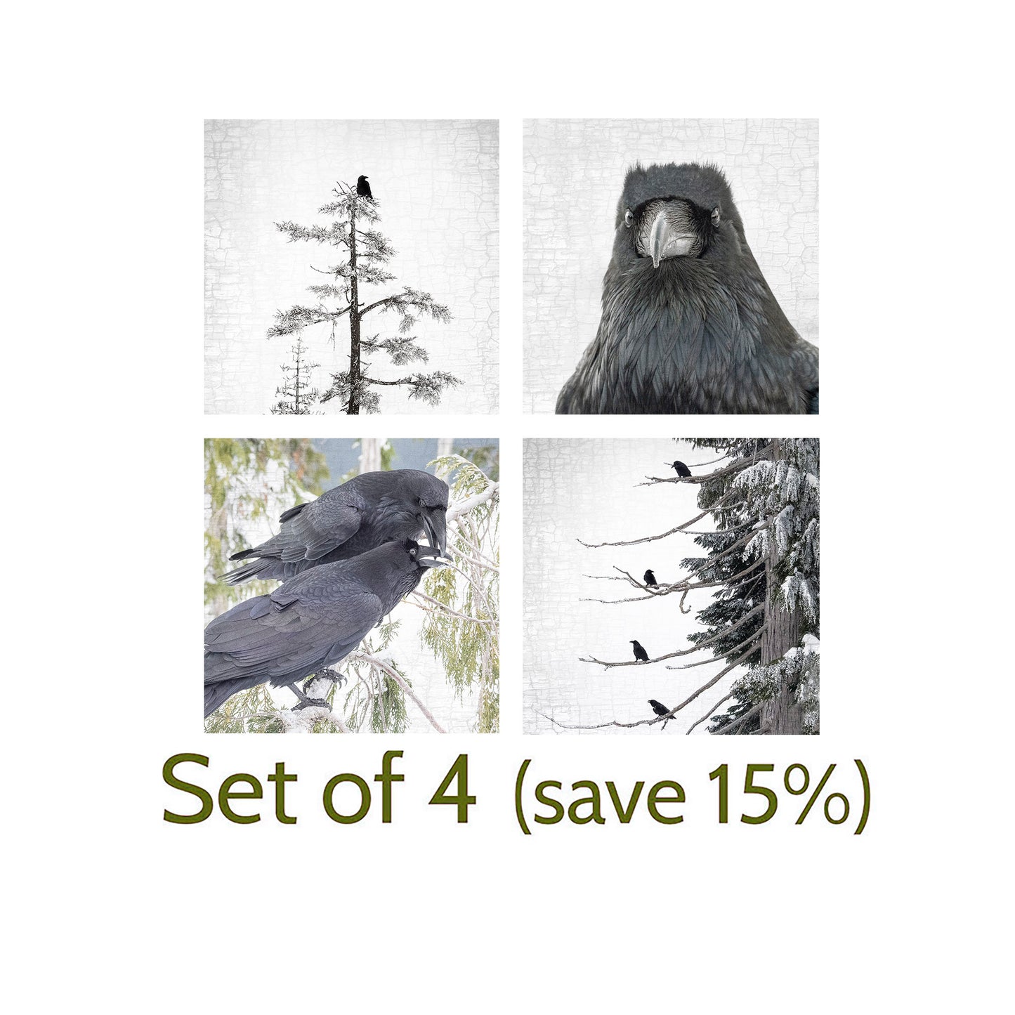ENTER RAVEN, STAGE LEFT - Fine Art Print, Raven Portrait Series