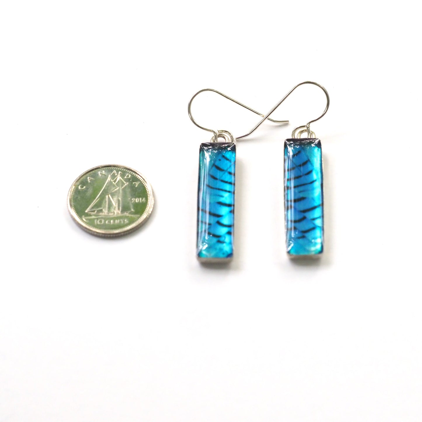 STELLER'S JAY FEATHERS - Rectangular Earrings, Silver and Resin