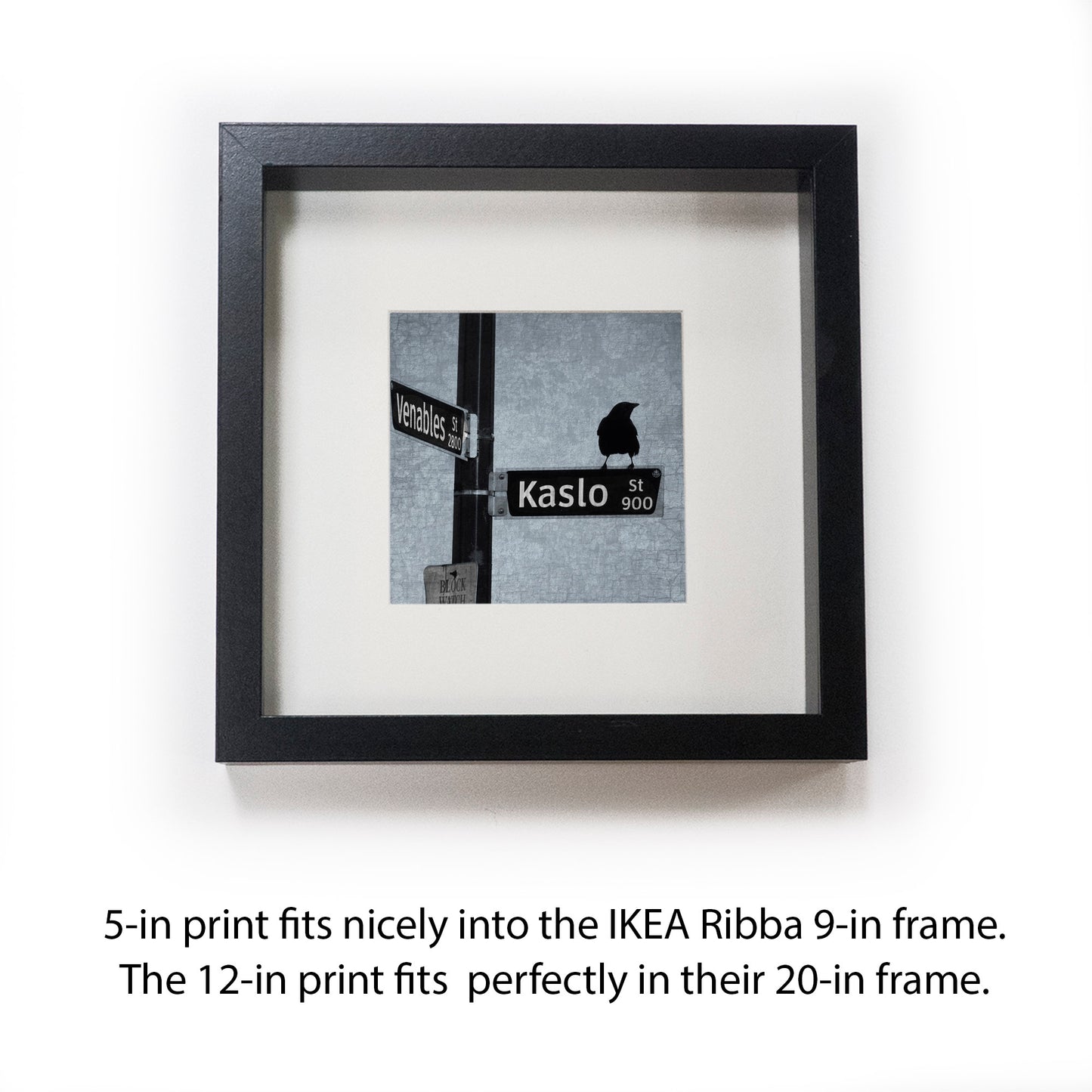 WAY-FINDER CROW - Fine Art Print, Blue Crow Series