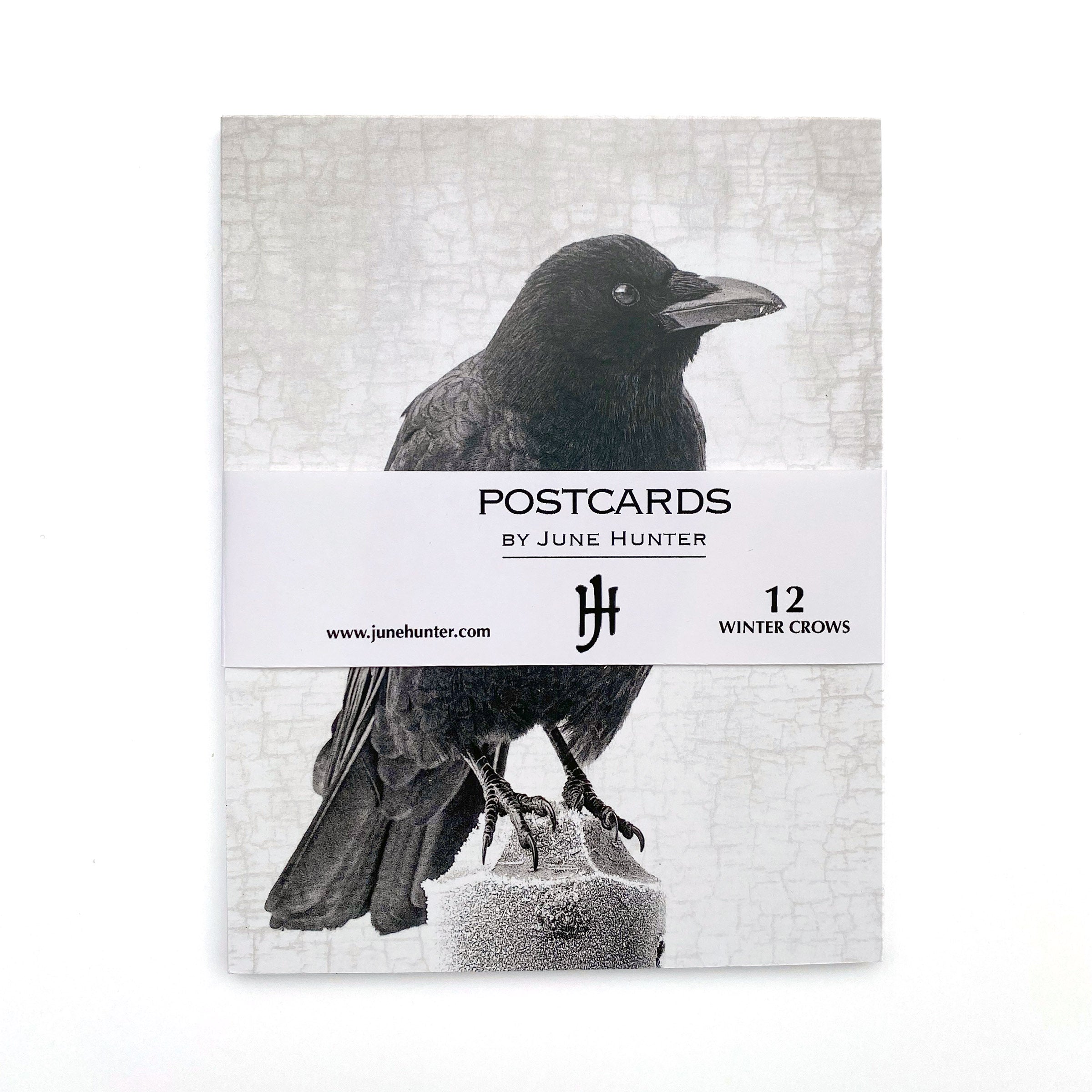Bird Postcards - Crows, Ravens, and Beautiful Garden Birds