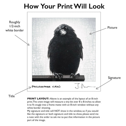 FIRST LOOK - Fine Art Print, Crow Portrait Series