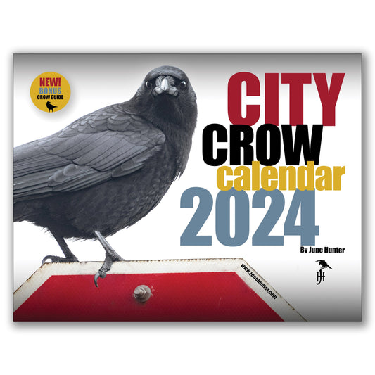 Custom Order for Elaine — City Crow Calendar
