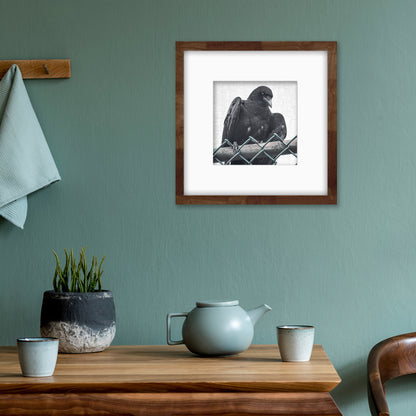 ANTING - Fine Art Print, Crow Portrait Series