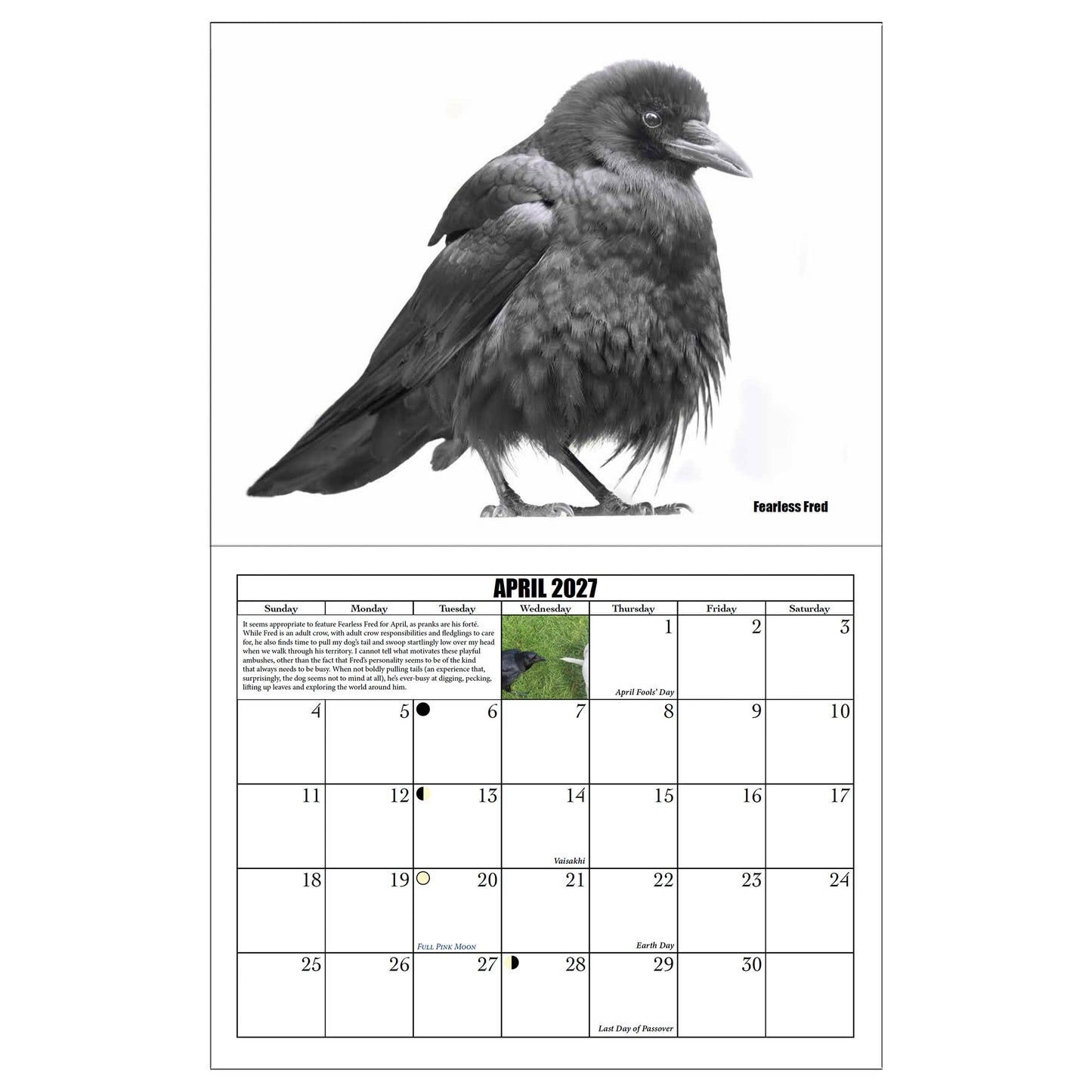 CITY CROW CALENDAR 2027 — Wall Calendar