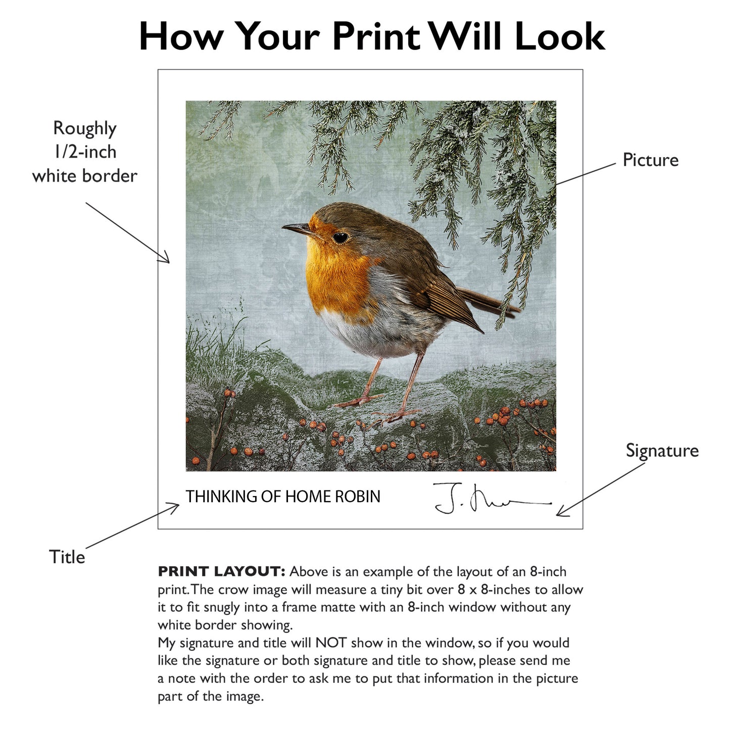 "THINKING OF HOME" ROBIN - Fine Art Print, Garden Birds Series