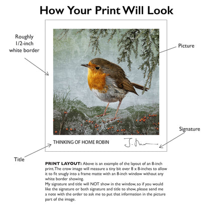 "THINKING OF HOME" ROBIN - Fine Art Print, Garden Birds Series