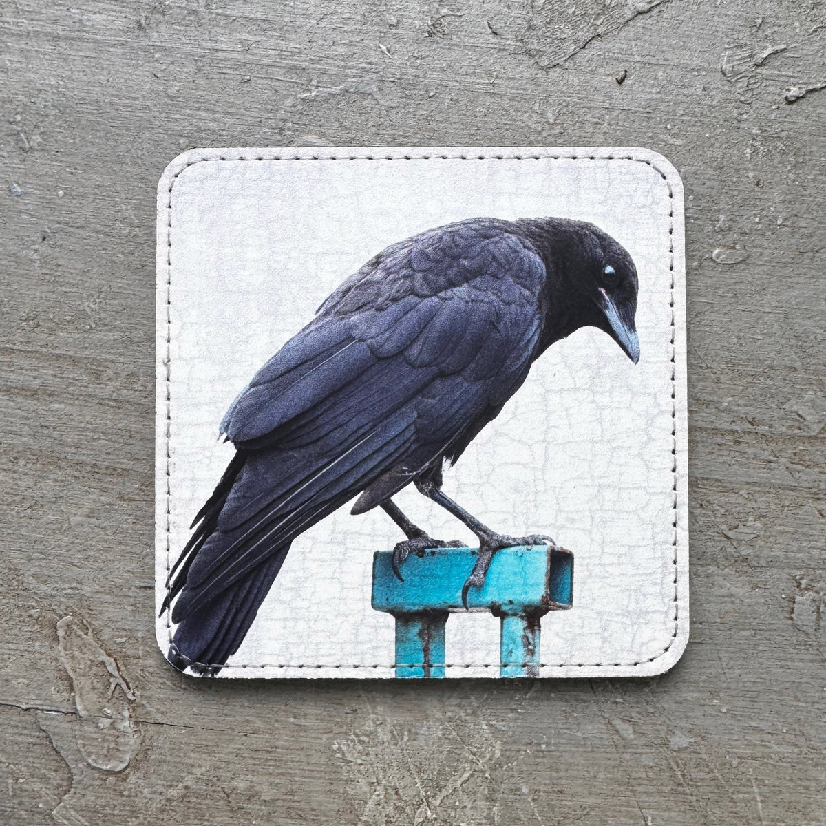 BABY CROW ON A BLUE FENCE — Coaster