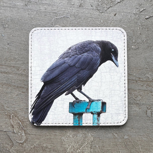 BABY CROW ON A BLUE FENCE — Coaster