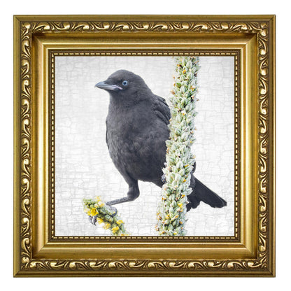 BALANCE FOR BEGINNERS - Fine Art Print, Crow Portrait Series