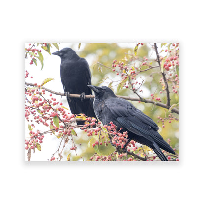 Set of 12 CROW CHARACTERS Postcards by June Hunter
