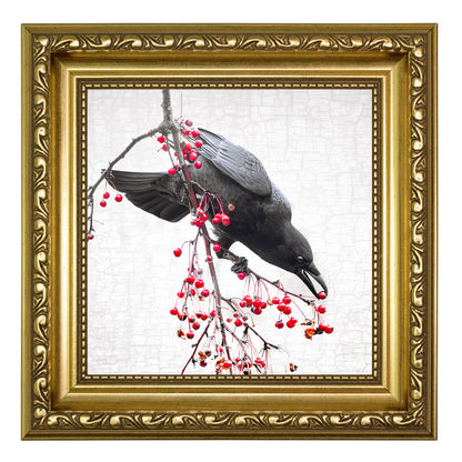 THE BERRY BANDIT - Fine Art Print, Crow Portrait Series