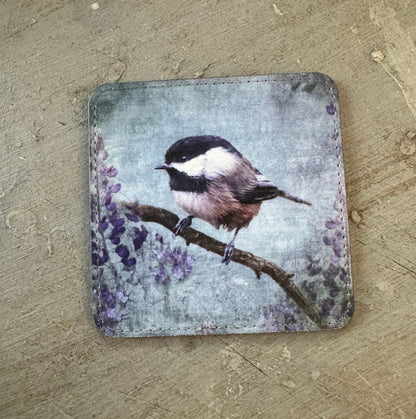 BLACK-CAPPED CHICKADEE — Coaster